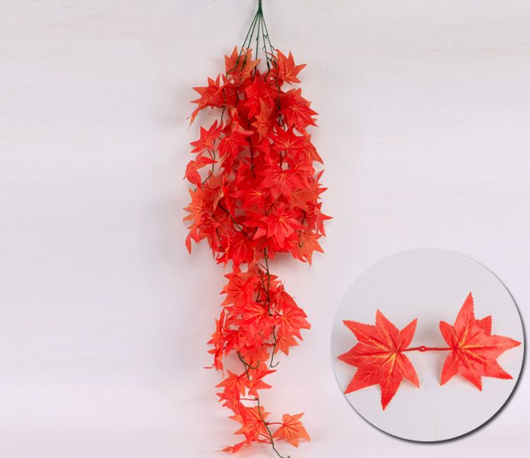 downLoadImg (11).jpg 